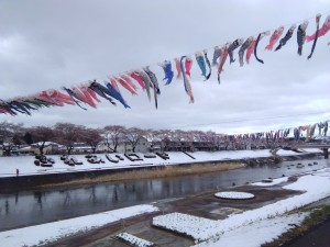 20190411須賀川市釈迦堂川桜_190411_0001